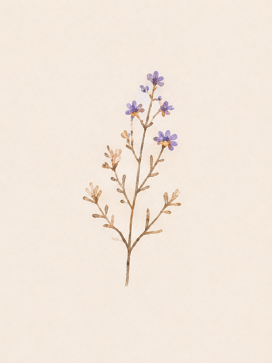 WILDFLOWER
