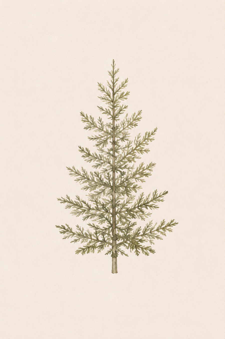 EVERGREEN