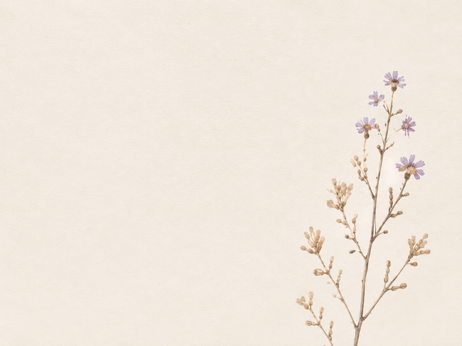 WILDFLOWER
