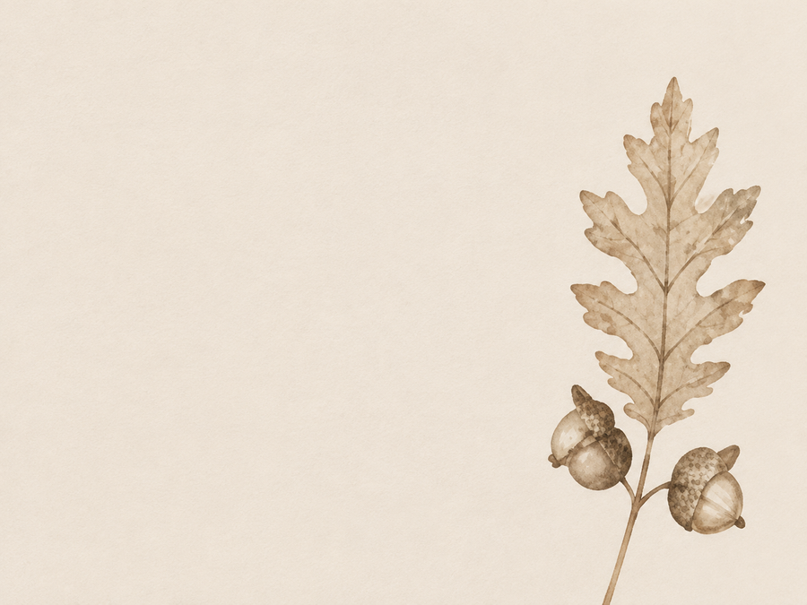 OAK & ACORN